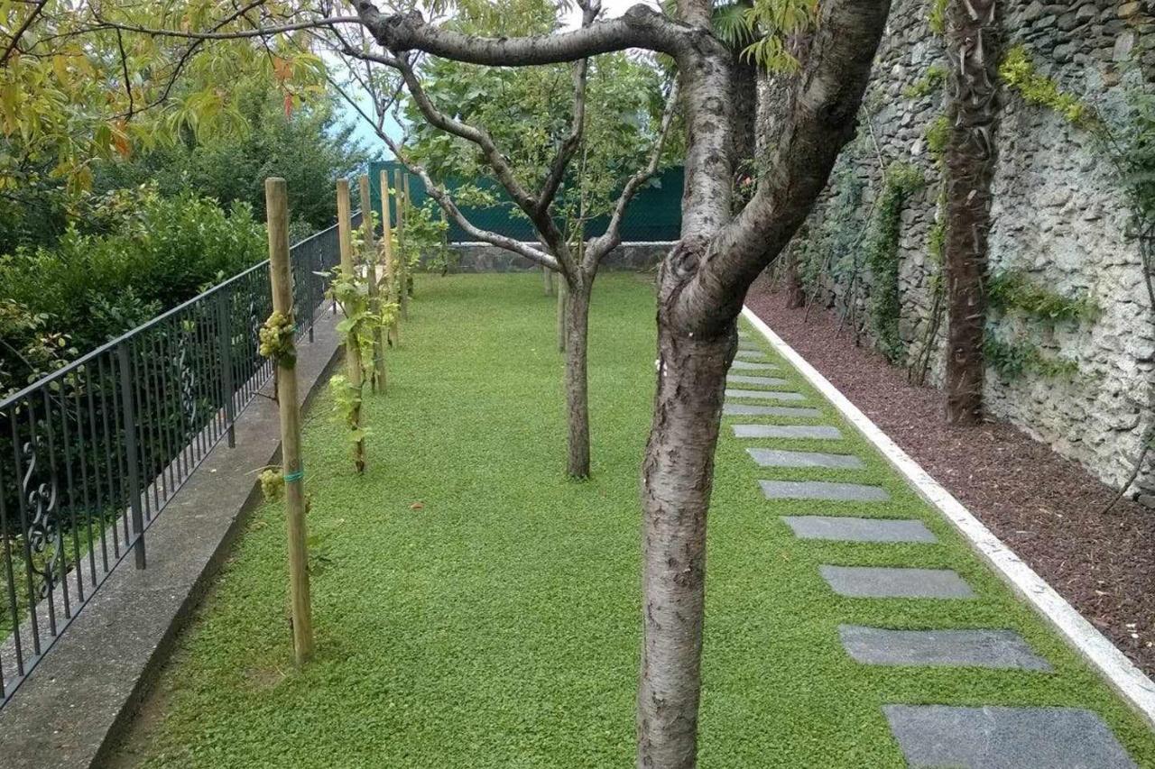 Domus Cusiana Complesso Vista Lago E Piscina Miasino Zewnętrze zdjęcie